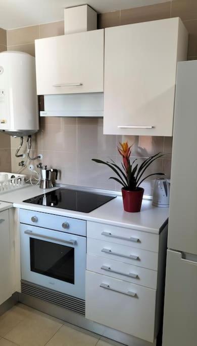 Apartmán Estudio 52 Malaga Centrico Parking Gratuito Exteriér fotografie
